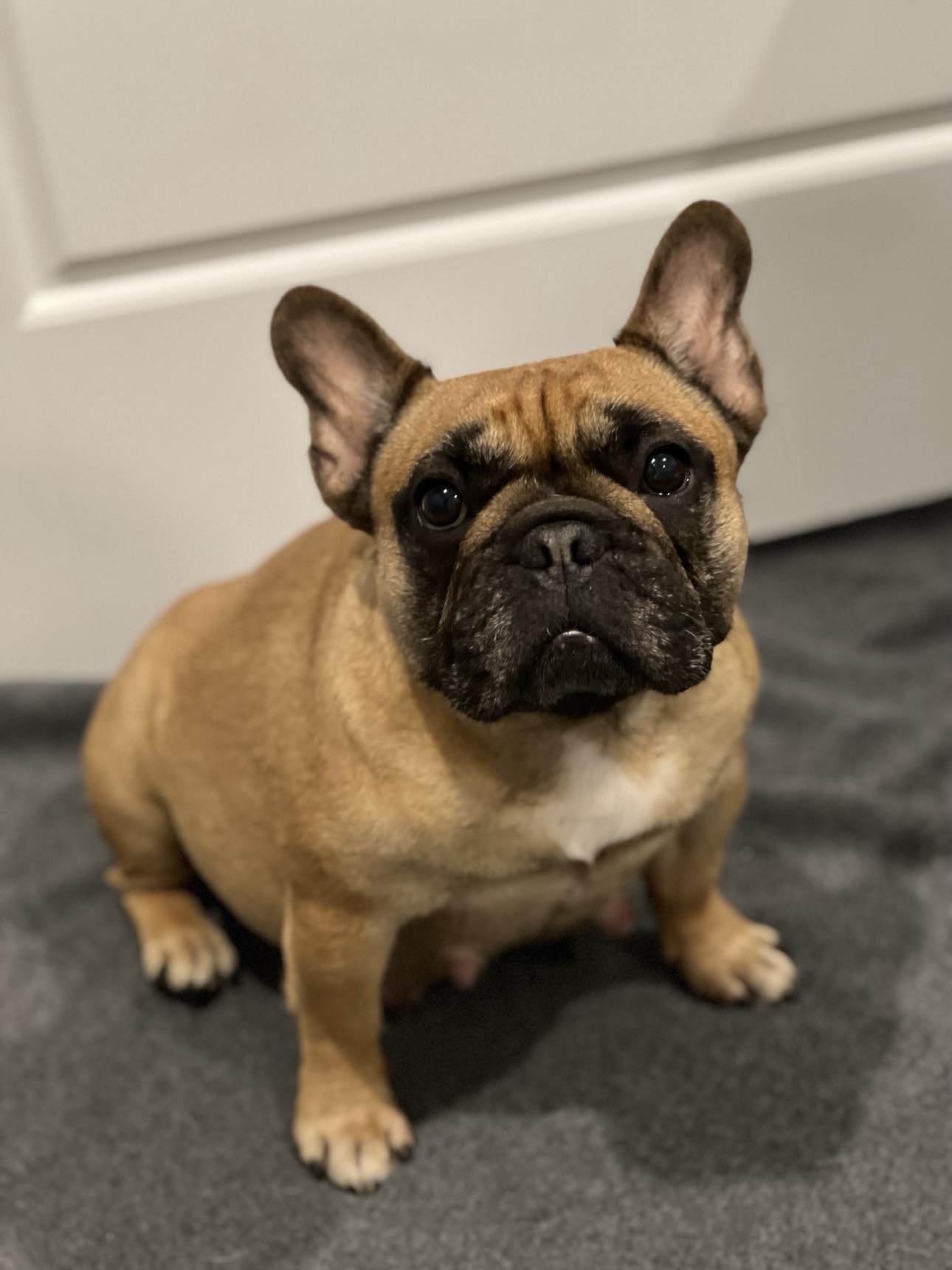 Charli