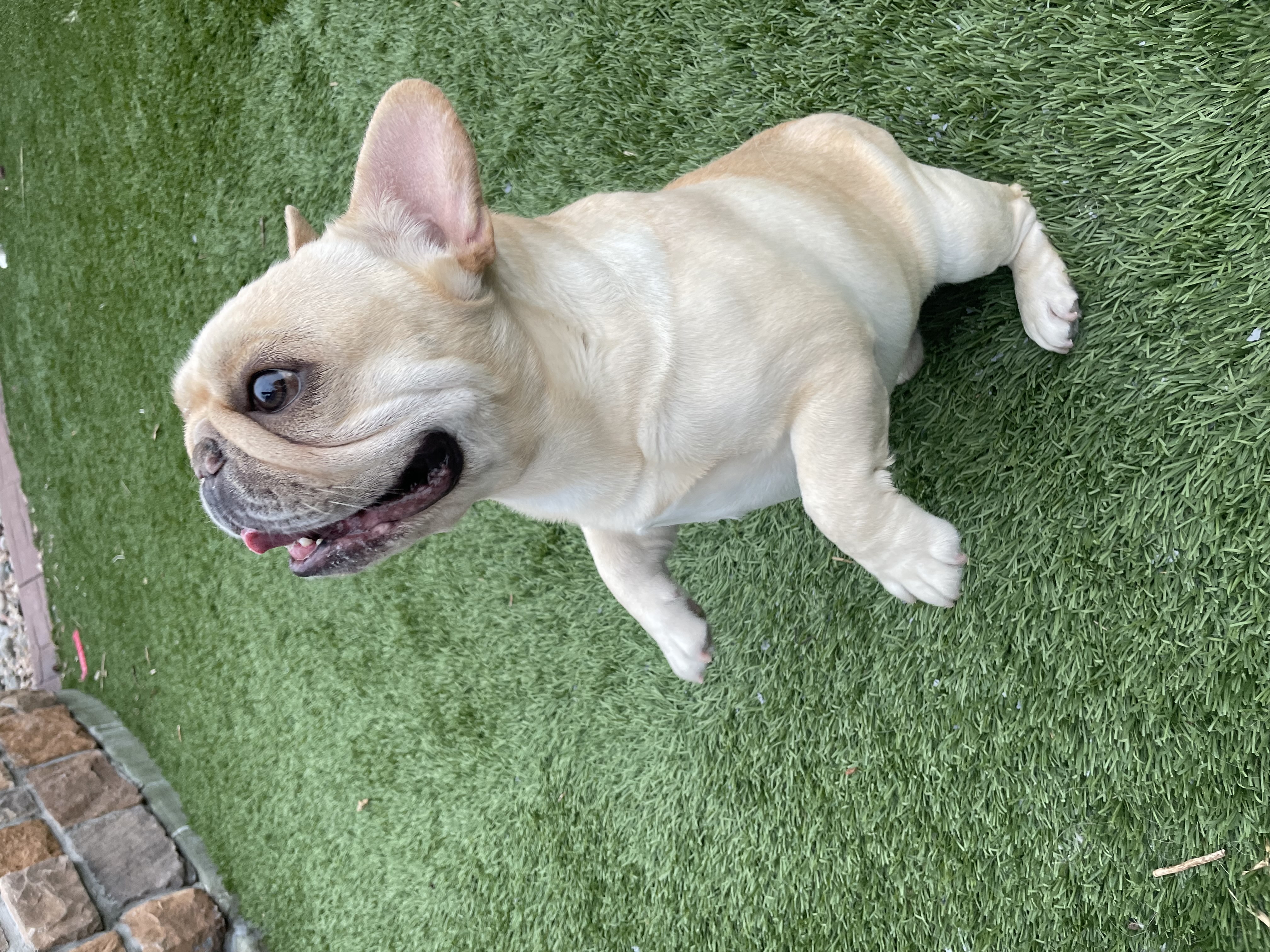 Edgar